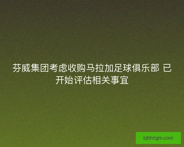 芬威集团考虑收购马拉加足球俱乐部 已开始评估相关事宜