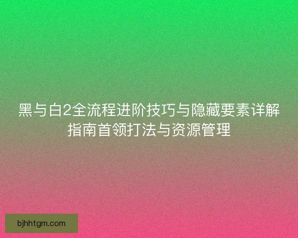 黑与白2全流程进阶技巧与隐藏要素详解指南首领打法与资源管理
